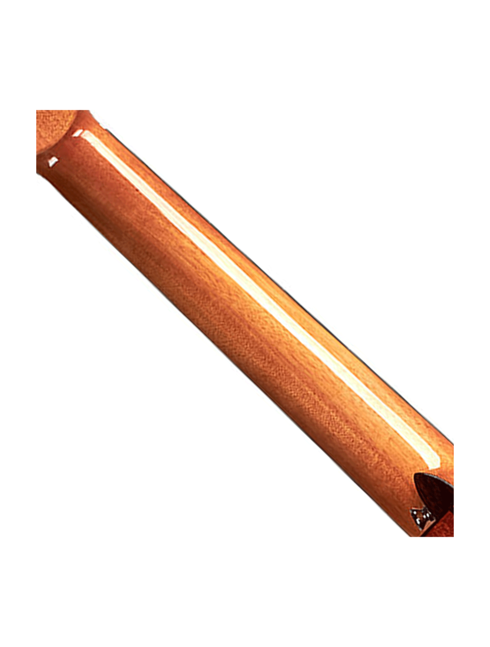 Cordoba Fusion 12 Cutaway A/E Nylon String Guitar - Natural Cedar - B-Stock