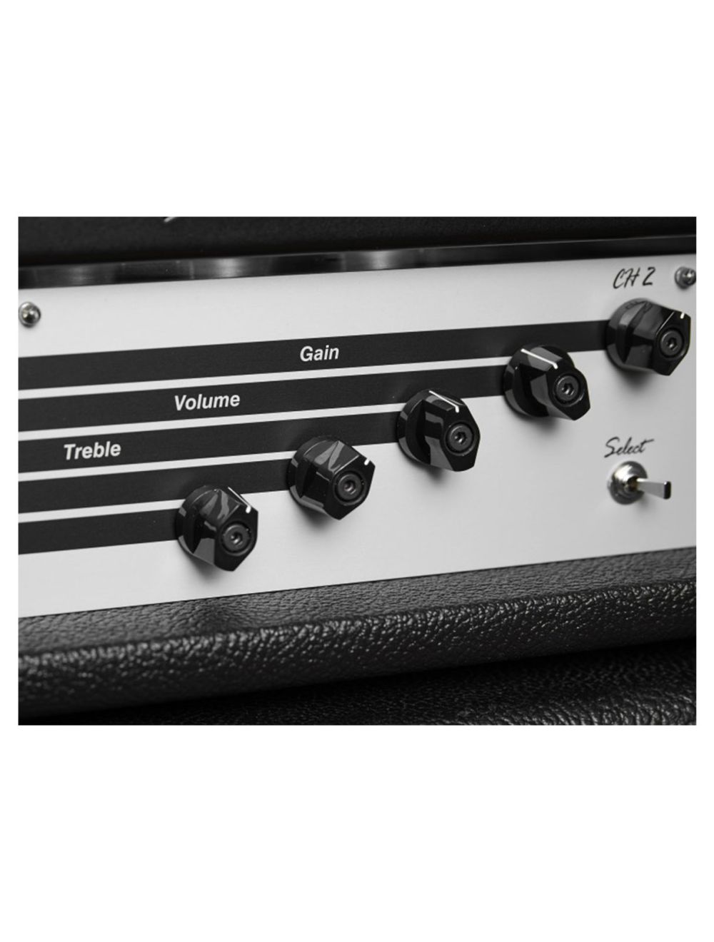 Diezel VH2 100-Watt 2-Channel Tube Head - Open Box