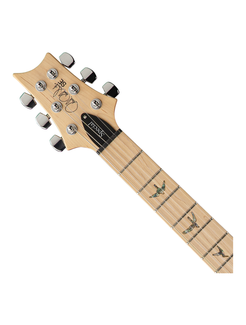 PRS SE Swamp Ash Special Electric Guitar - Charcoal - Open Box