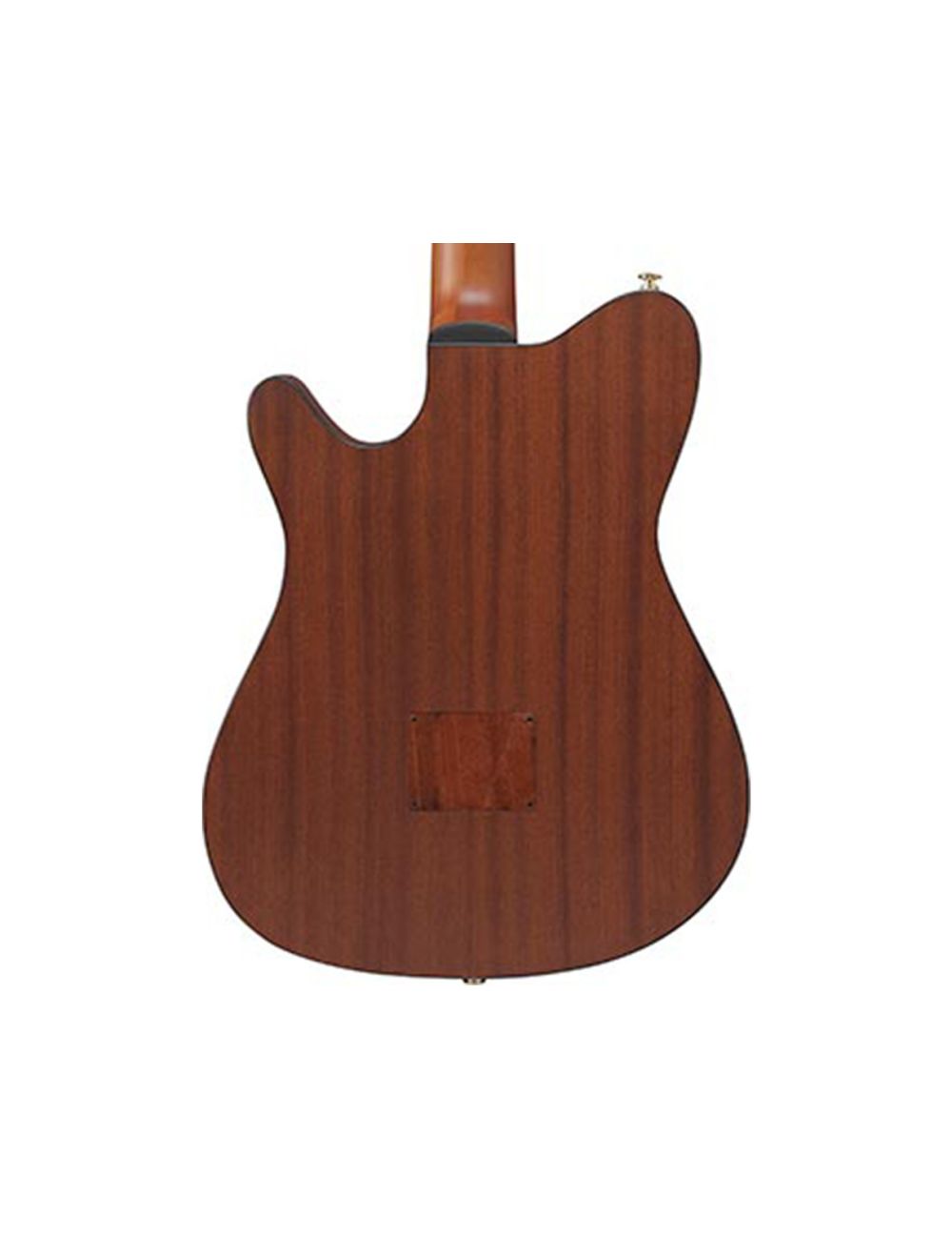 Ibanez FRH10NNTF Thinline Nylon A/E Guitar - Natural Flat