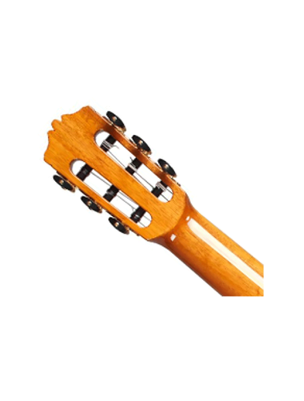 Cordoba Luthier C10 Cedar Nylon String Guitar - B-Stock