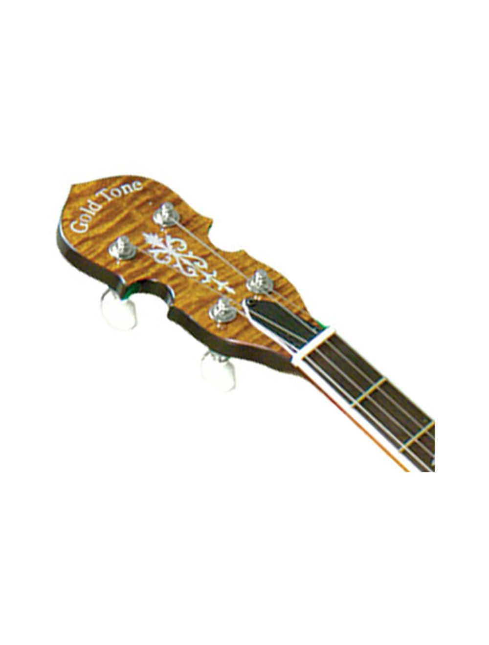 Gold Tone Acoustic Body Resophonic 5-String Banjo (With Electronics) - Open Box