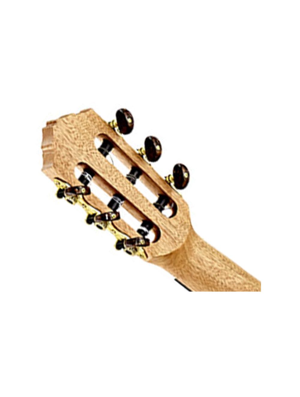 Ortega Guitars RGL5EB Timber Series Guitarlele - Natural - Open Box