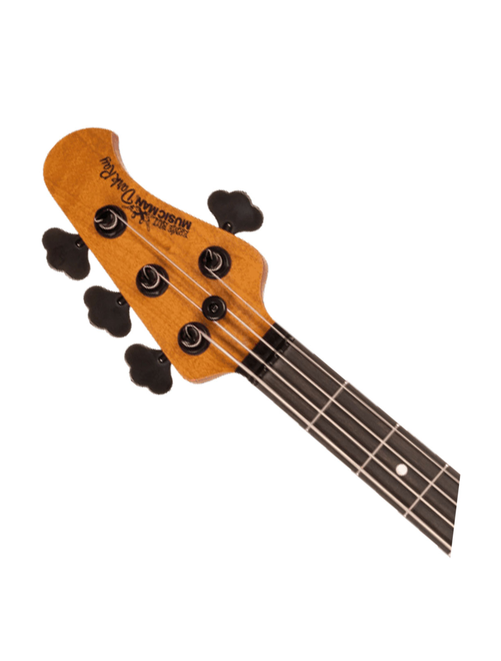 Ernie Ball Music Man Dark Ray 4 Bass Guitar - Dark Rainbow