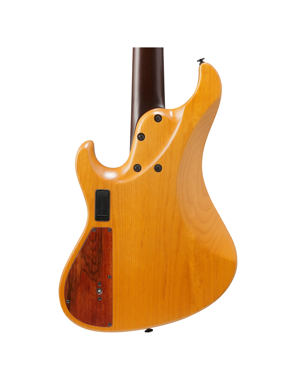 Ibanez MDM Visions Japan Custom Shop 5-String Electric Bass Guitar w/Case