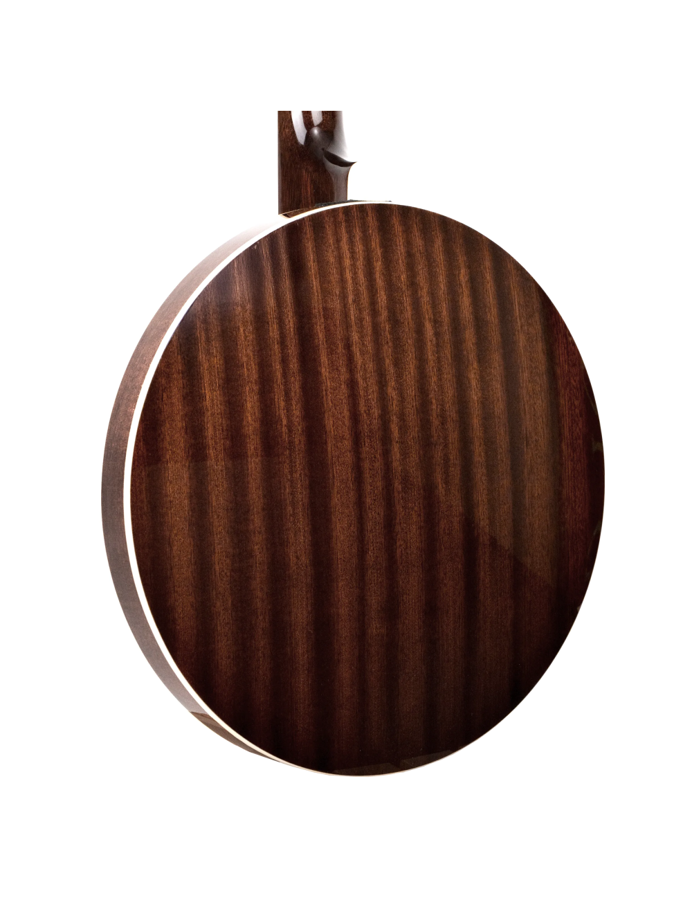 Gold Tone BG-175F Mastertone Bluegrass Banjo w/Bag