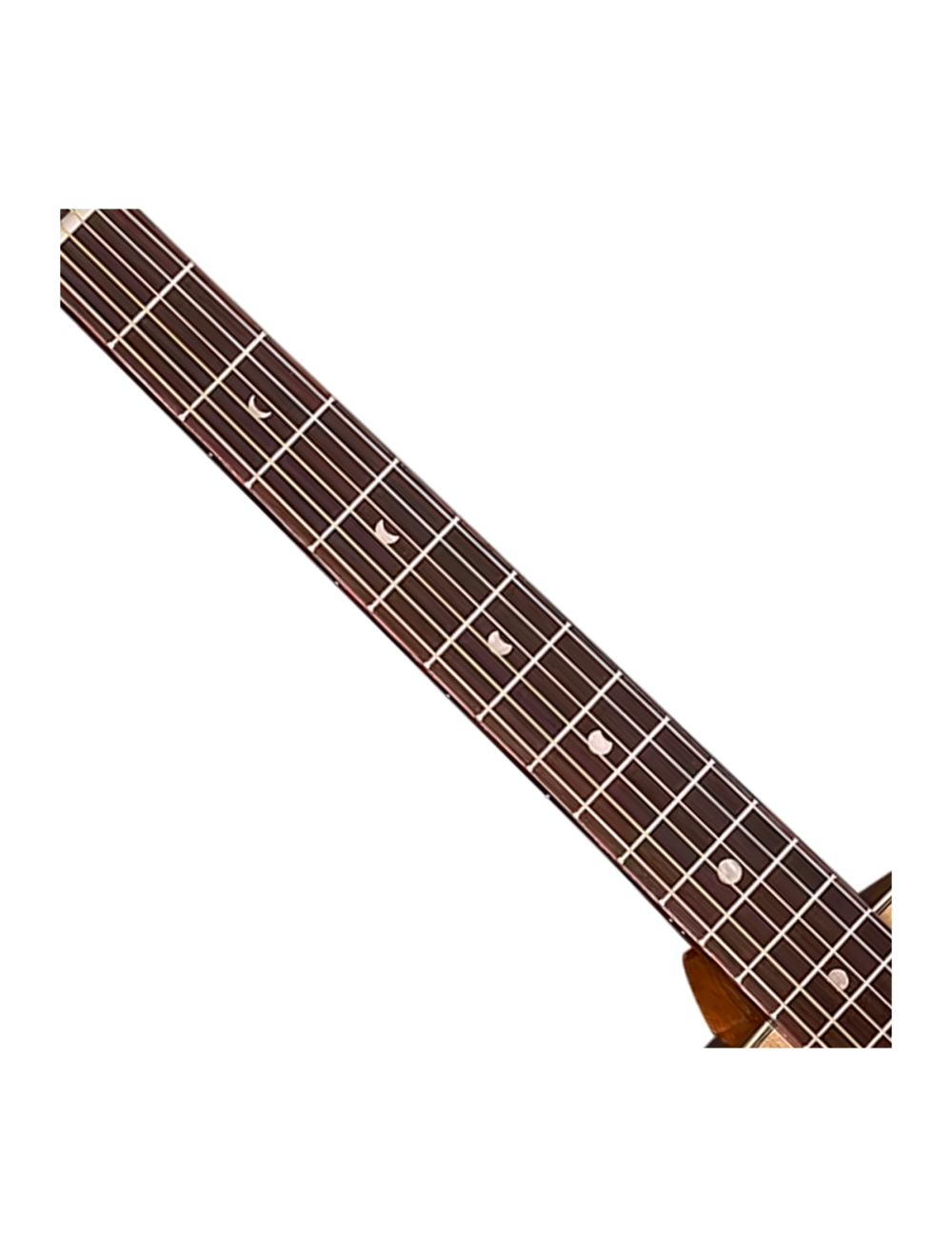 Luna Oracle Butterfly Folk Spruce A/E Guitar - Gloss Natural