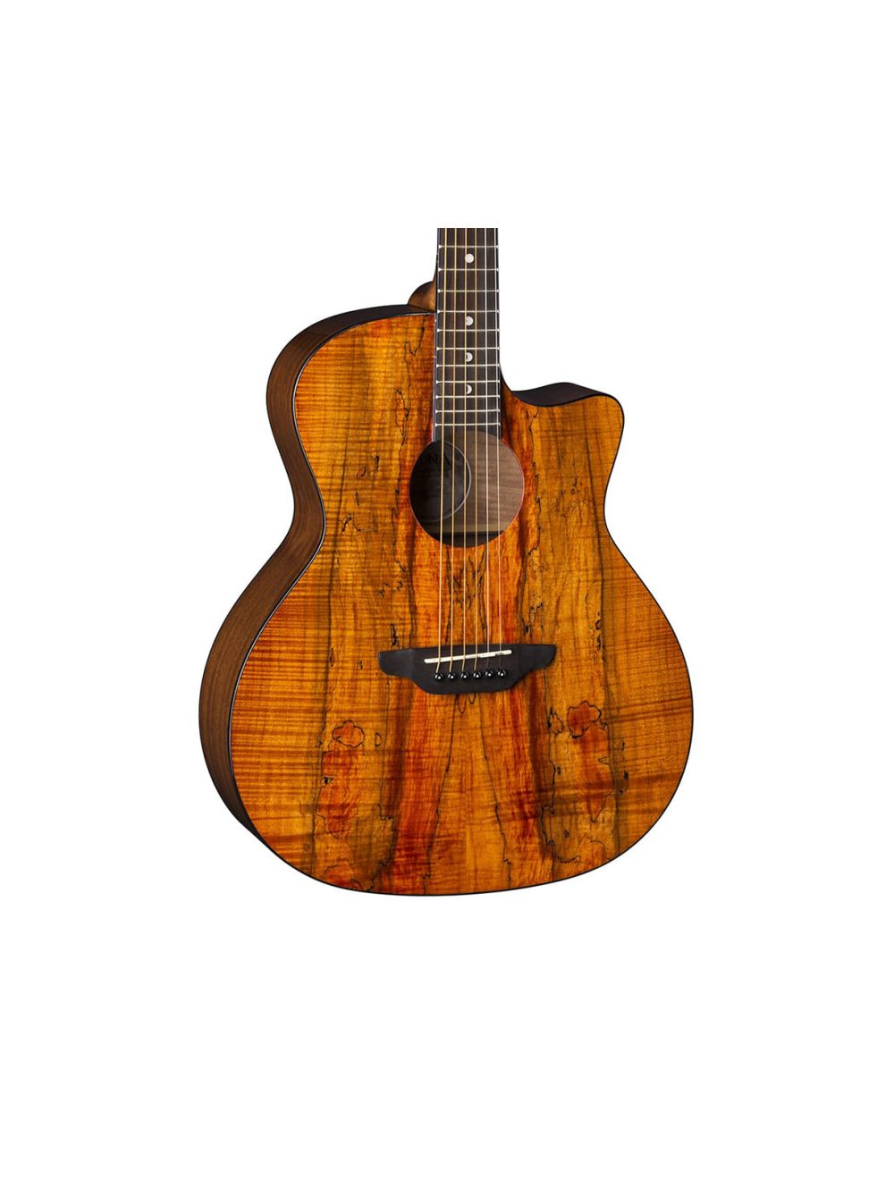 Luna Gypsy Exotic Spalt Acoustic Guitar