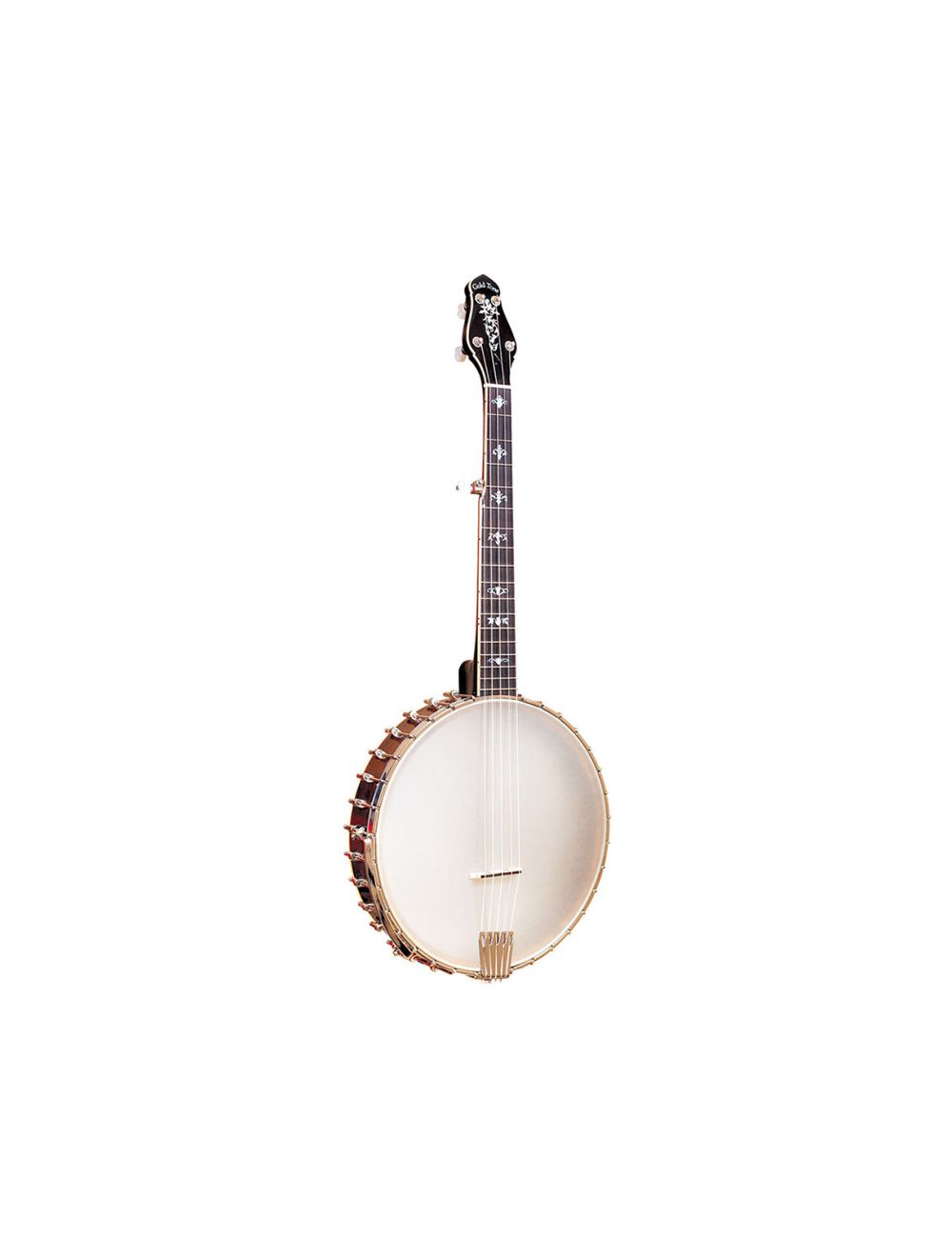 Gold Tone CEB-5 5-String Cello Banjo - Open Box