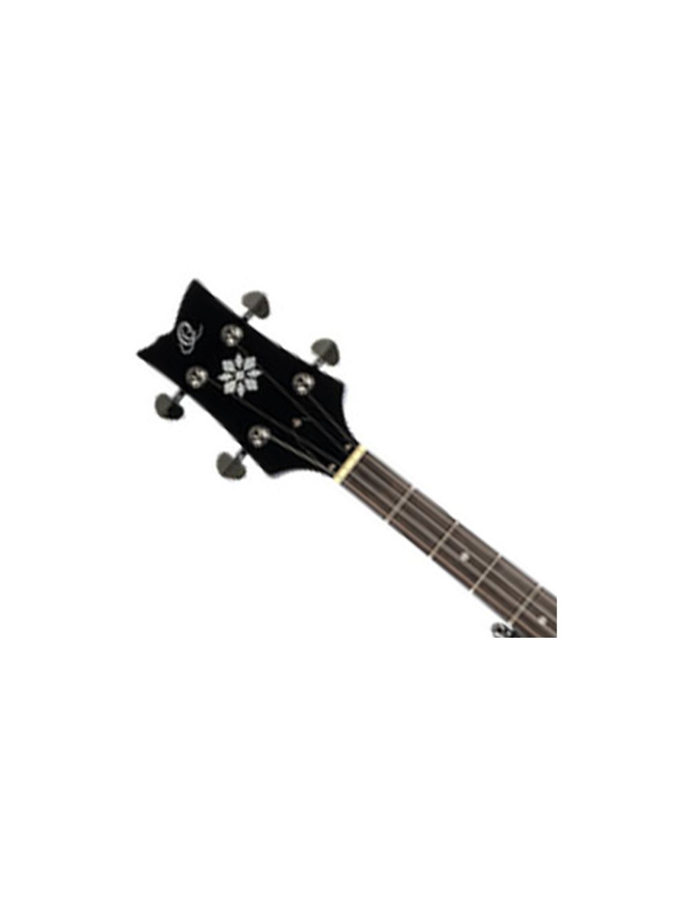 Ortega Guitars OBJ250-SBK Raven Series 5-String Banjo - Black