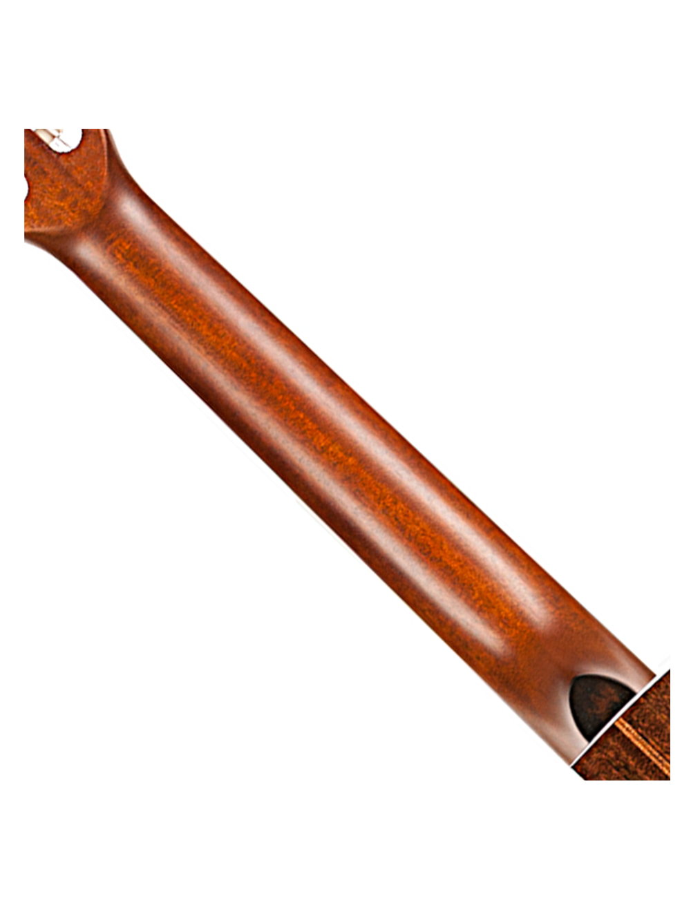 Godin Arena Pro CW EQ Nylon String A/E Guitar - Bourbon Burst - Open Box