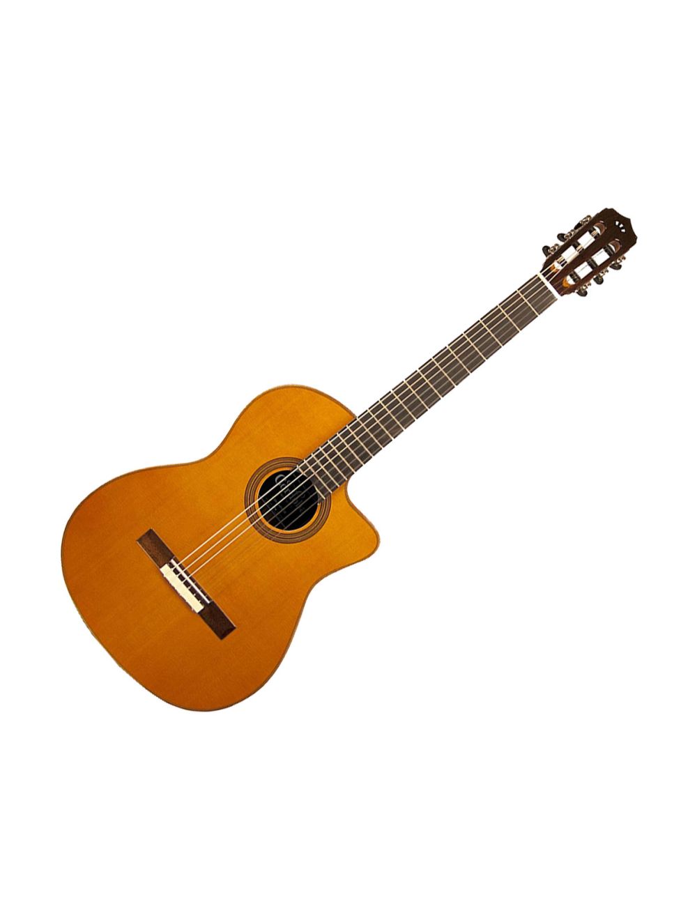 Cordoba fusion shop 12 orchestra ce