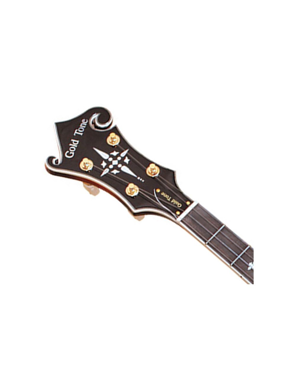 Gold Tone EBM-5 Electric Solidbody 5-String Banjo