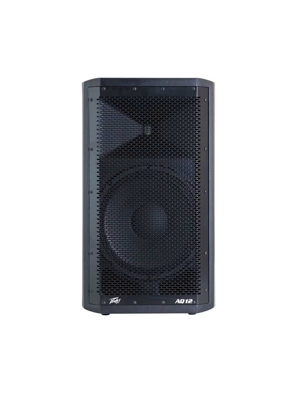 Used peavey shop speakers