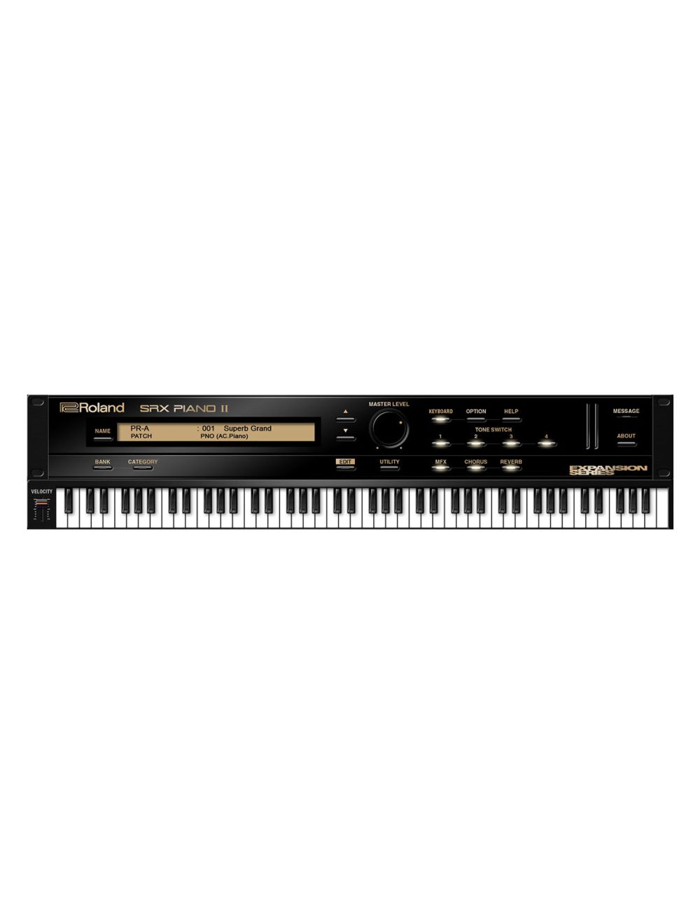 Rclifetimekey SRX Piano II Key