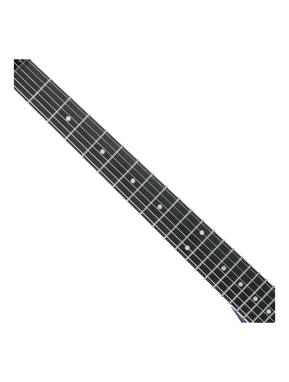 Ibanez FRM300PR Paul Gilbert Signature Guitar - Purple