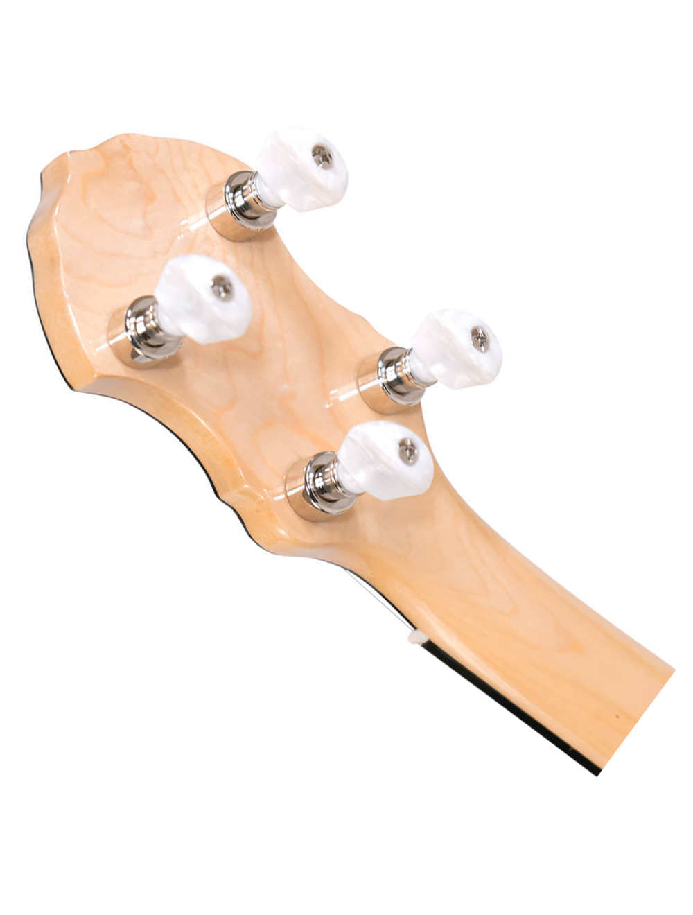 Gold Tone BC-350 Bob Carlin Signature Series Openback Banjo - Open Box