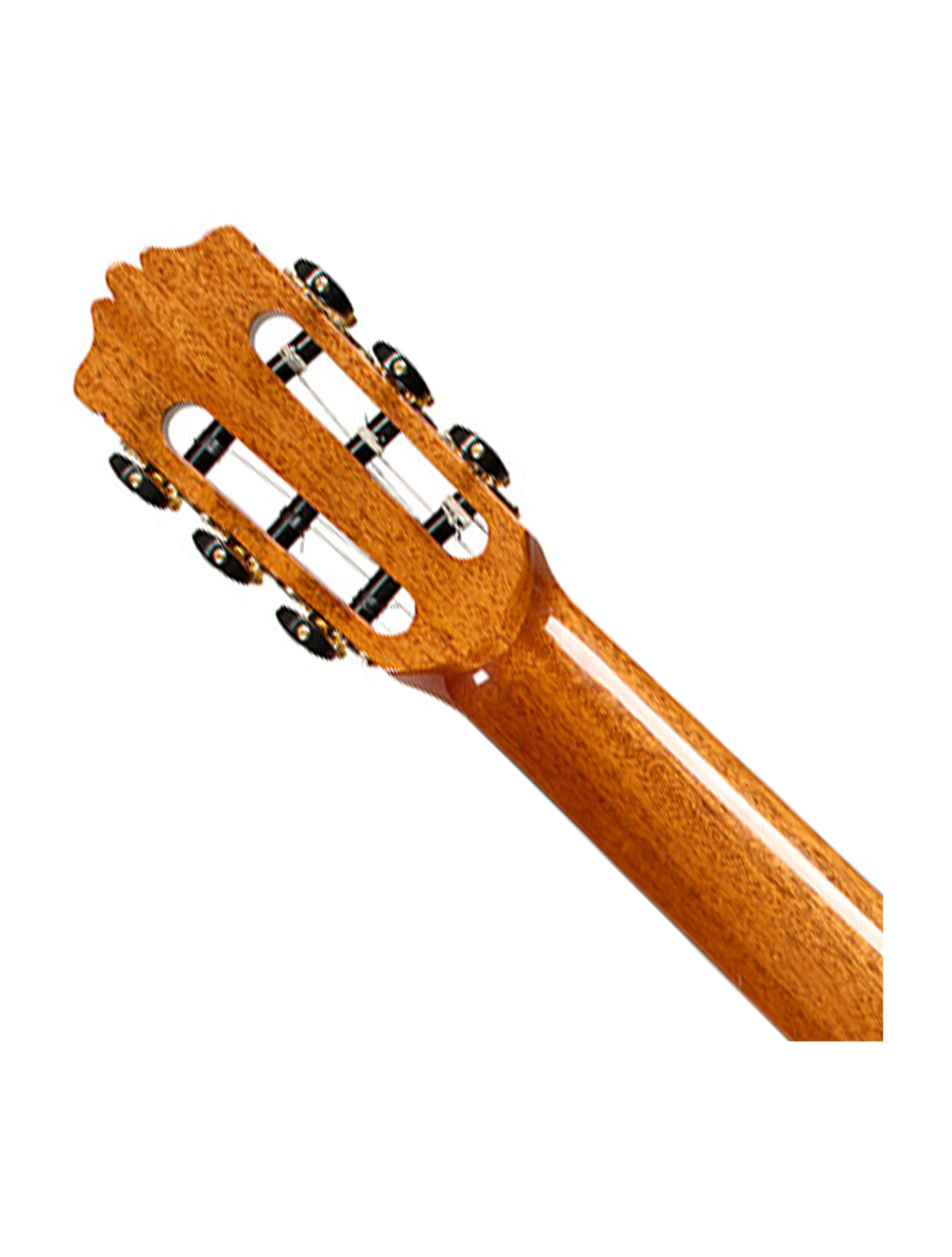 Cordoba Stage Artist Nylon-String Electric Guitar - Traditional