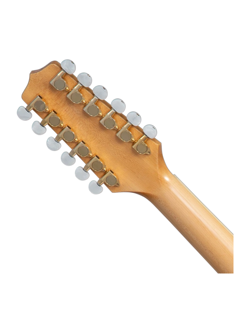 Takamine GD74CE-12ULH Left-Handed 12-String Acoustic-Electric Guitar w/Gig Bag