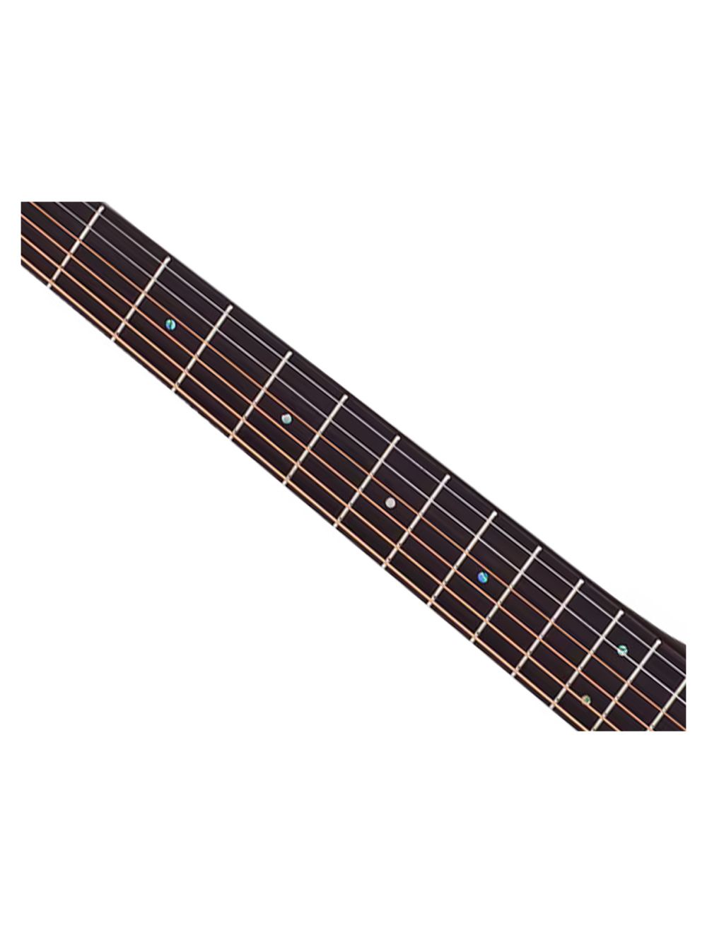 Schecter Deluxe Acoustic - Satin See Thru Black