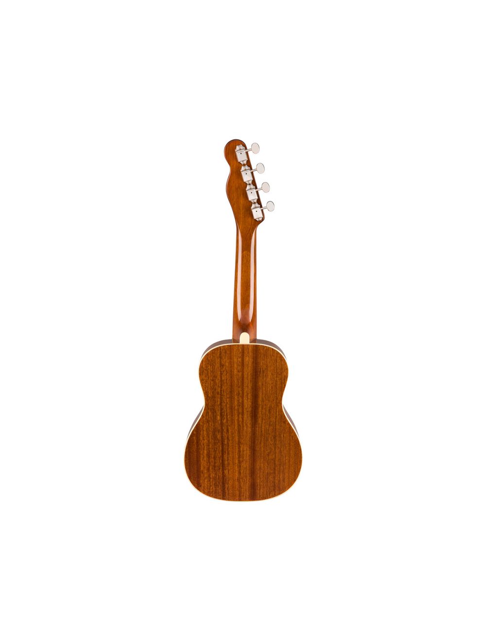 Zuma classic concert ukulele top