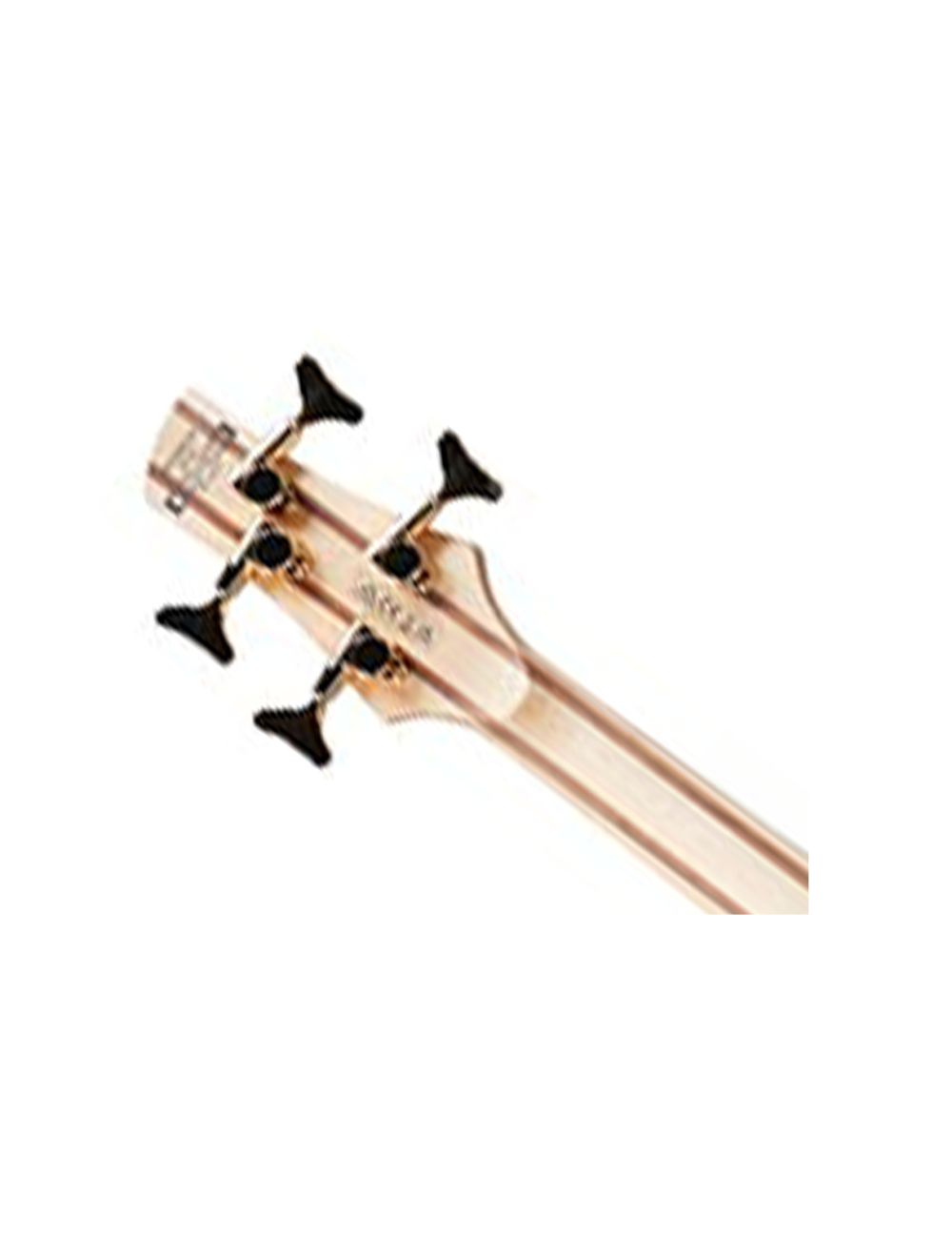 Ibanez SR300EDXBZM SR Standard Bass - Black Ice Frozen Matte