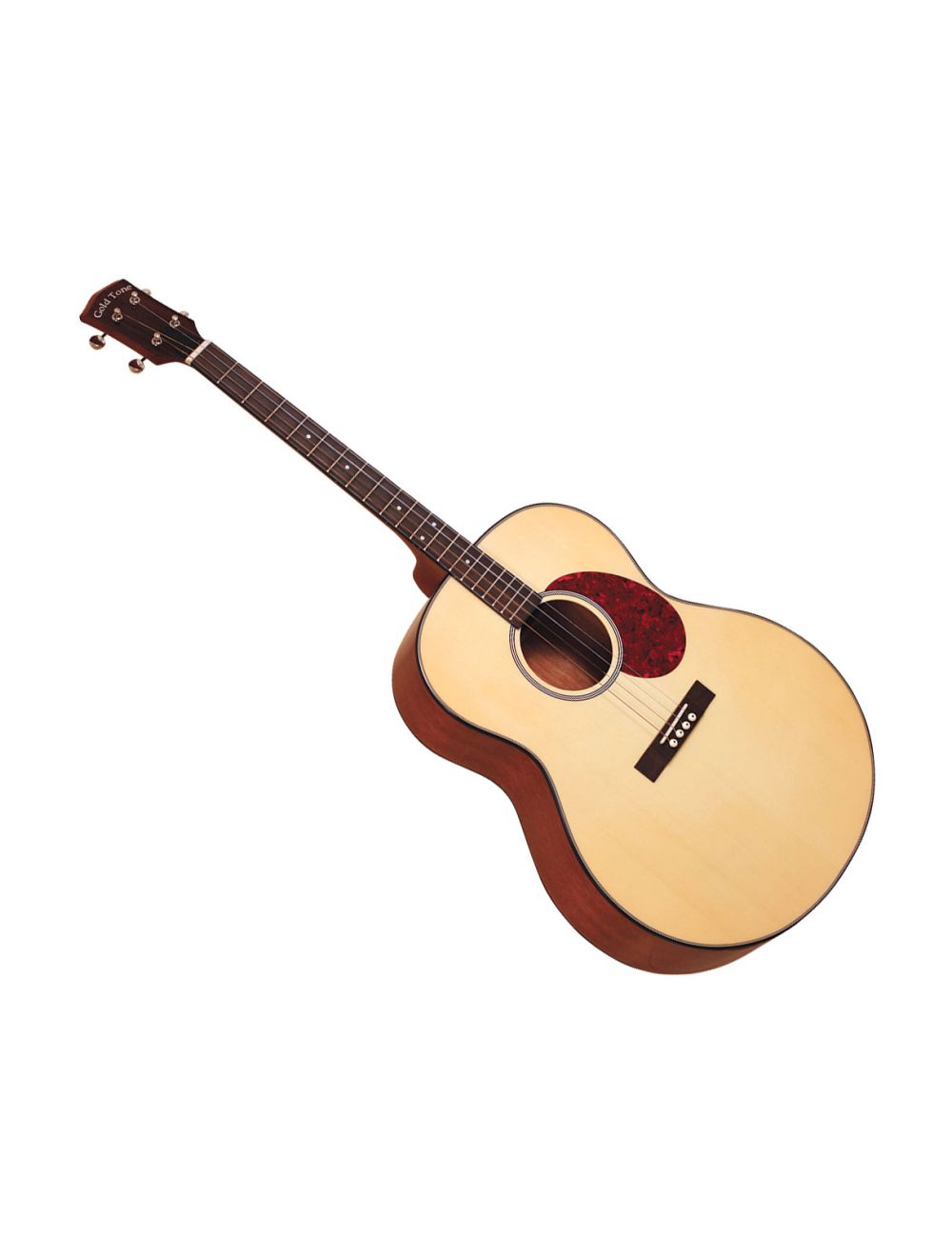 Gold tone tenor shop guitar