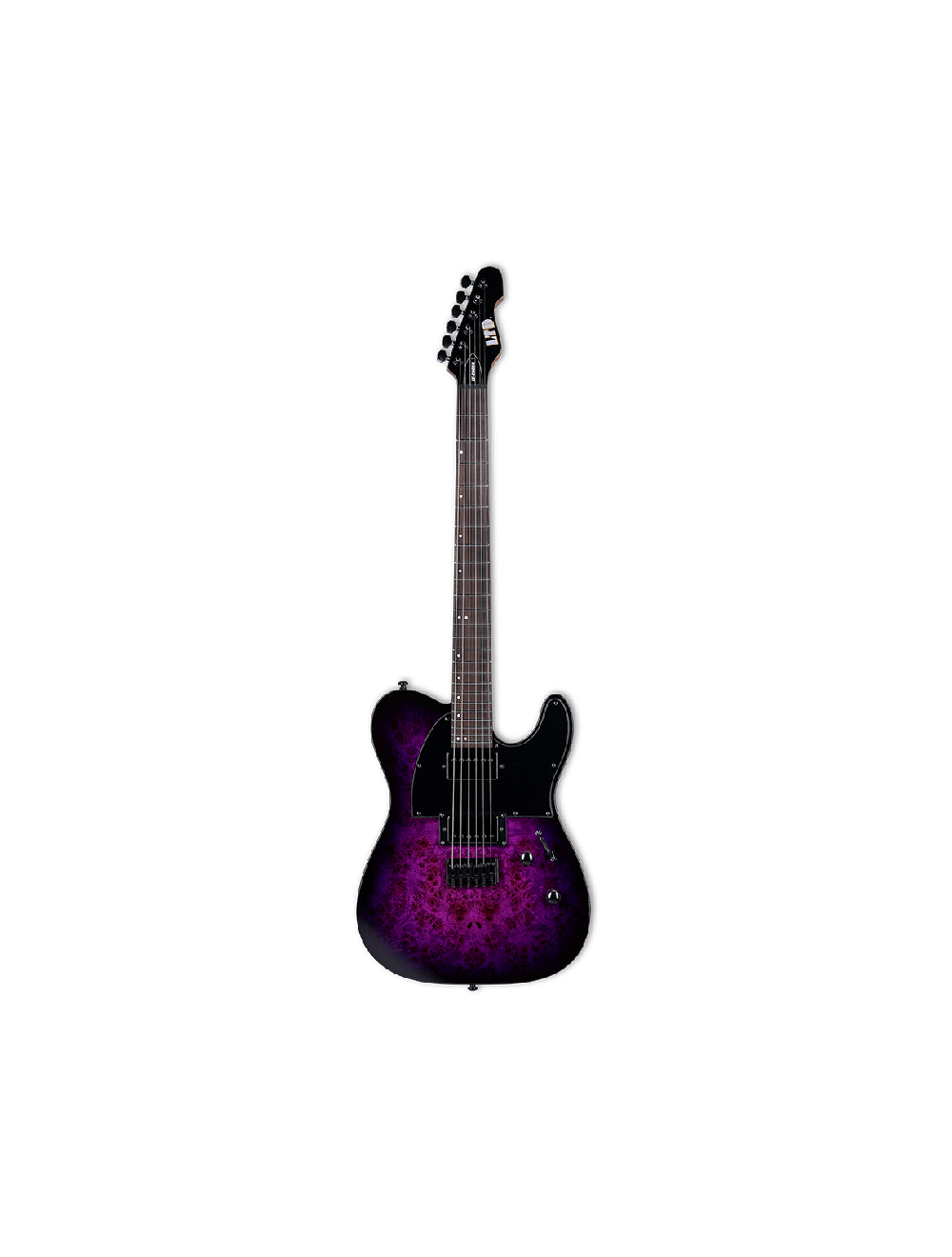 ESP LTD TE-200DX Electric Guitar - Purple Burst
