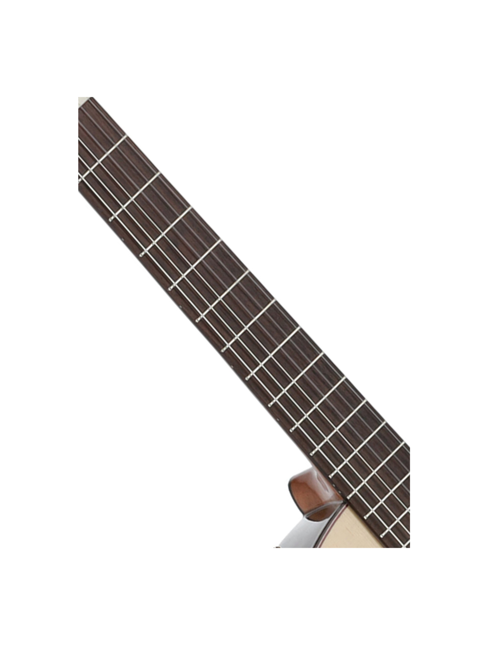 Manuel Rodriguez Café Cortado A/E Guitar - Aged Eucalyptus Gloss - Open Box