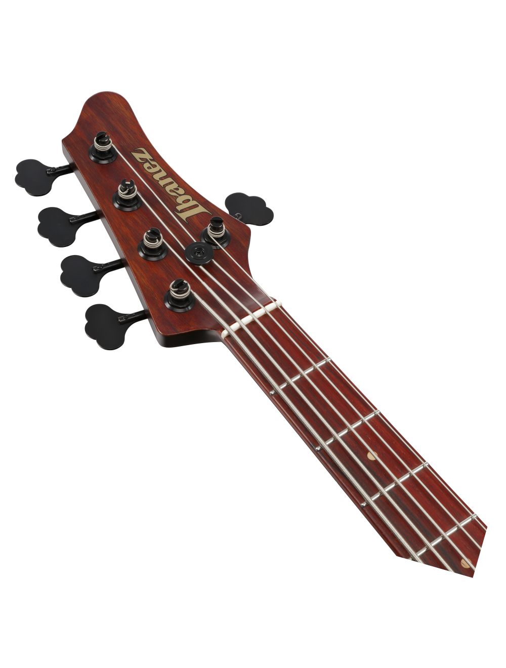 Ibanez MDM Visions Japan Custom Shop 5-String Electric Bass Guitar w/Case