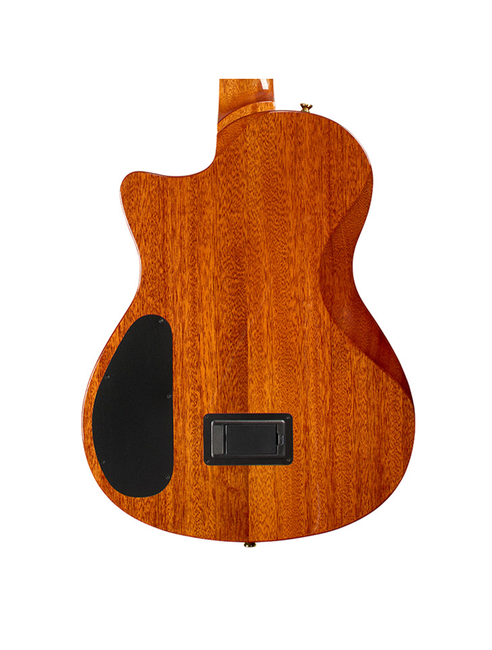 Cordoba Stage Artist Nylon-String Electric Guitar - Traditional