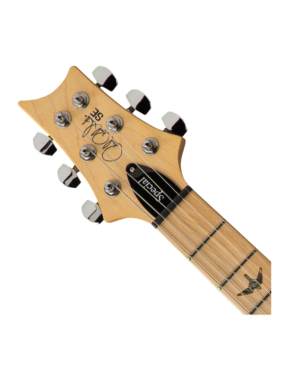 PRS SE Swamp Ash Special Electric Guitar - Iri Blue