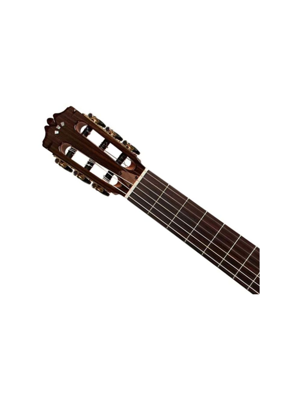 Cordoba Fusion Stage Traditional Cedar Cutaway Electric Nylon String Guitar - B-Stock