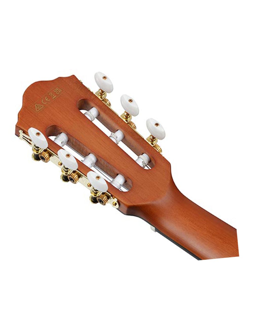 Ibanez FRH10NNTF Thinline Nylon A/E Guitar - Natural Flat