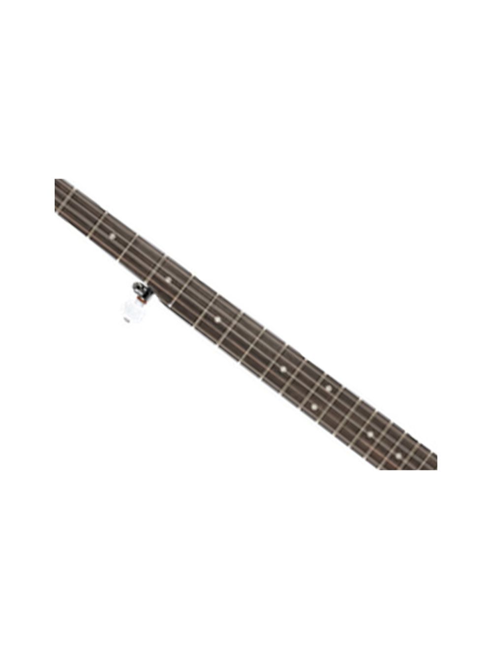 Ortega Guitars OBJ250-SBK Raven Series 5-String Banjo - Black
