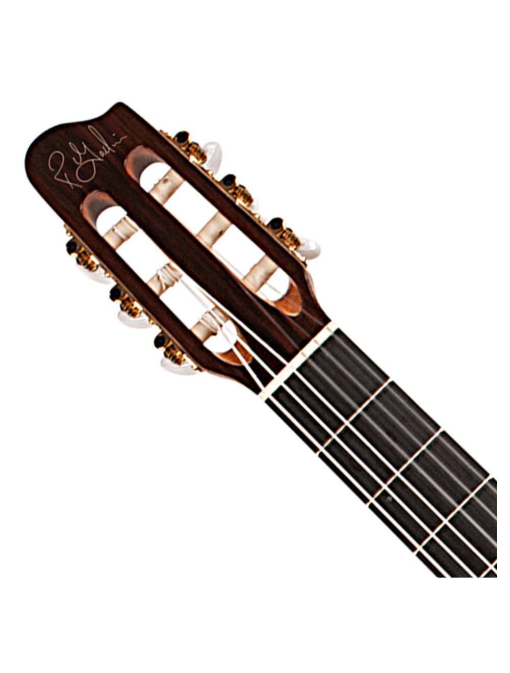 Godin Arena Pro CW EQ Nylon String A/E Guitar - Bourbon Burst - Open Box