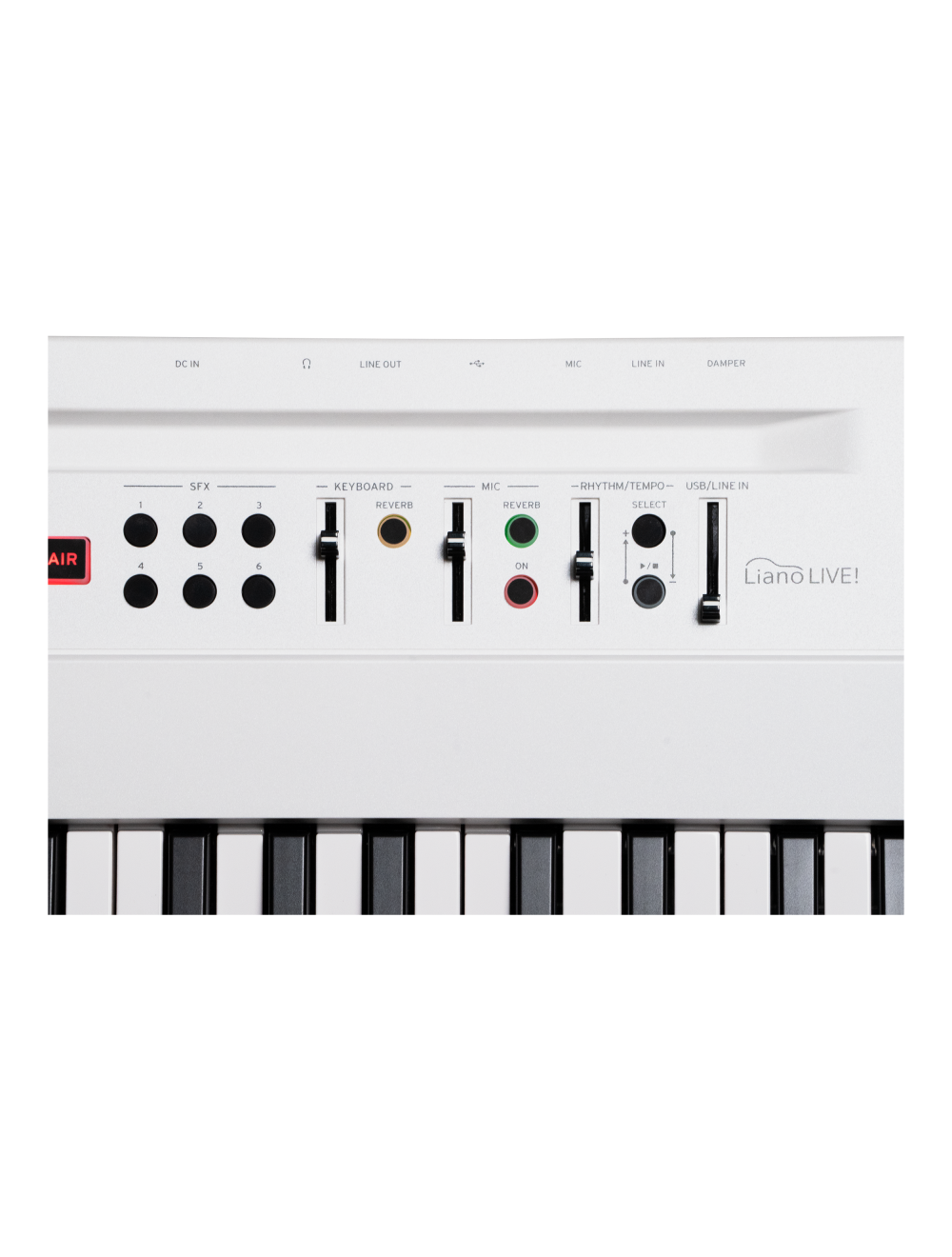 Korg Liano Live Digital Piano with Microphone