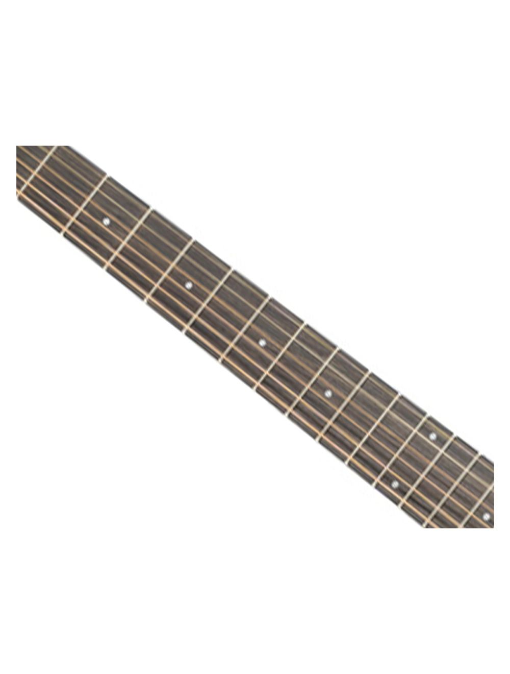 Washburn DFEFE-U Deep Forest Folk Acoustic/Electric Guitar - Striped Ebony