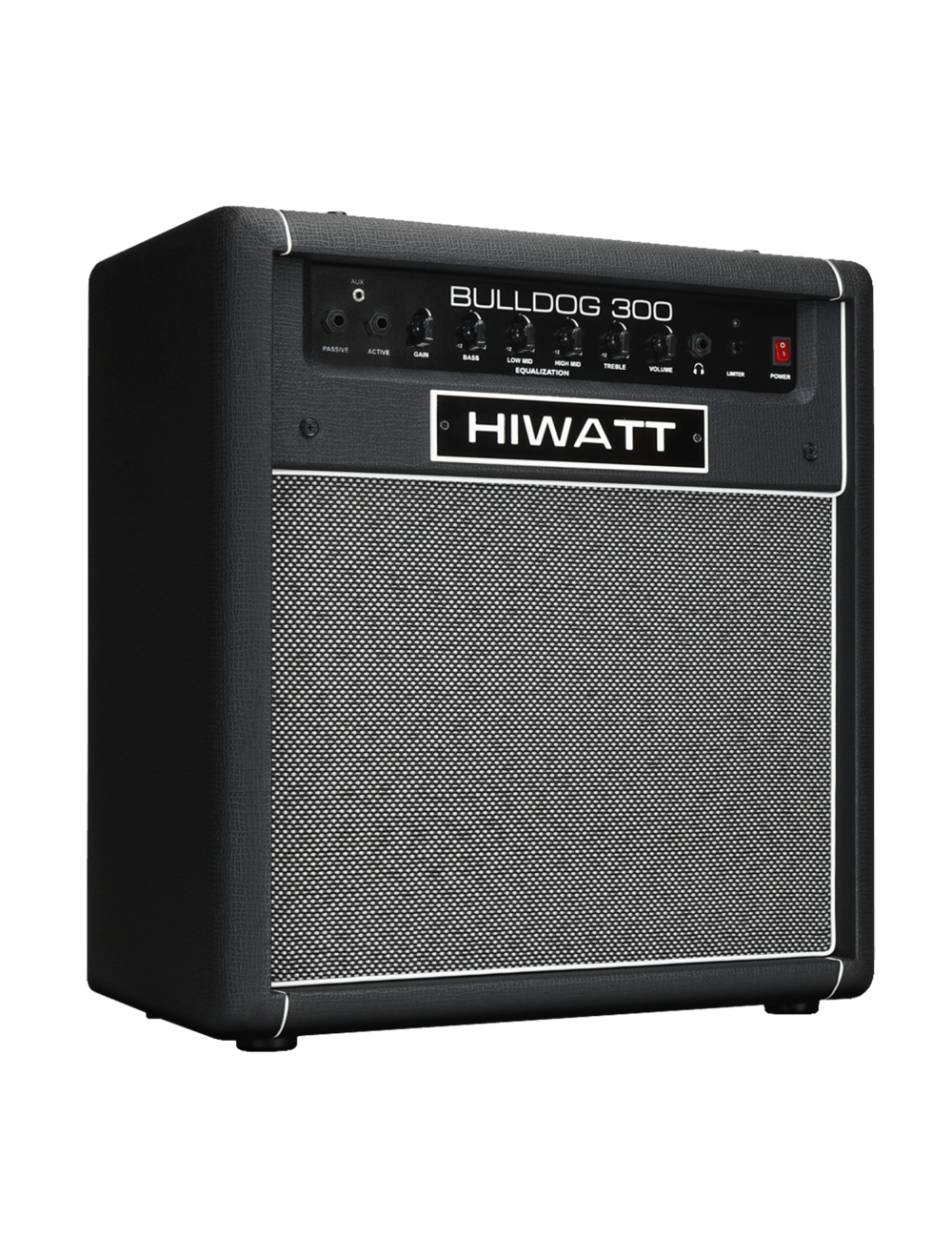 Hiwatt Bulldog 300 300-Watt Bass Combo Amplifier - Black - Open Box