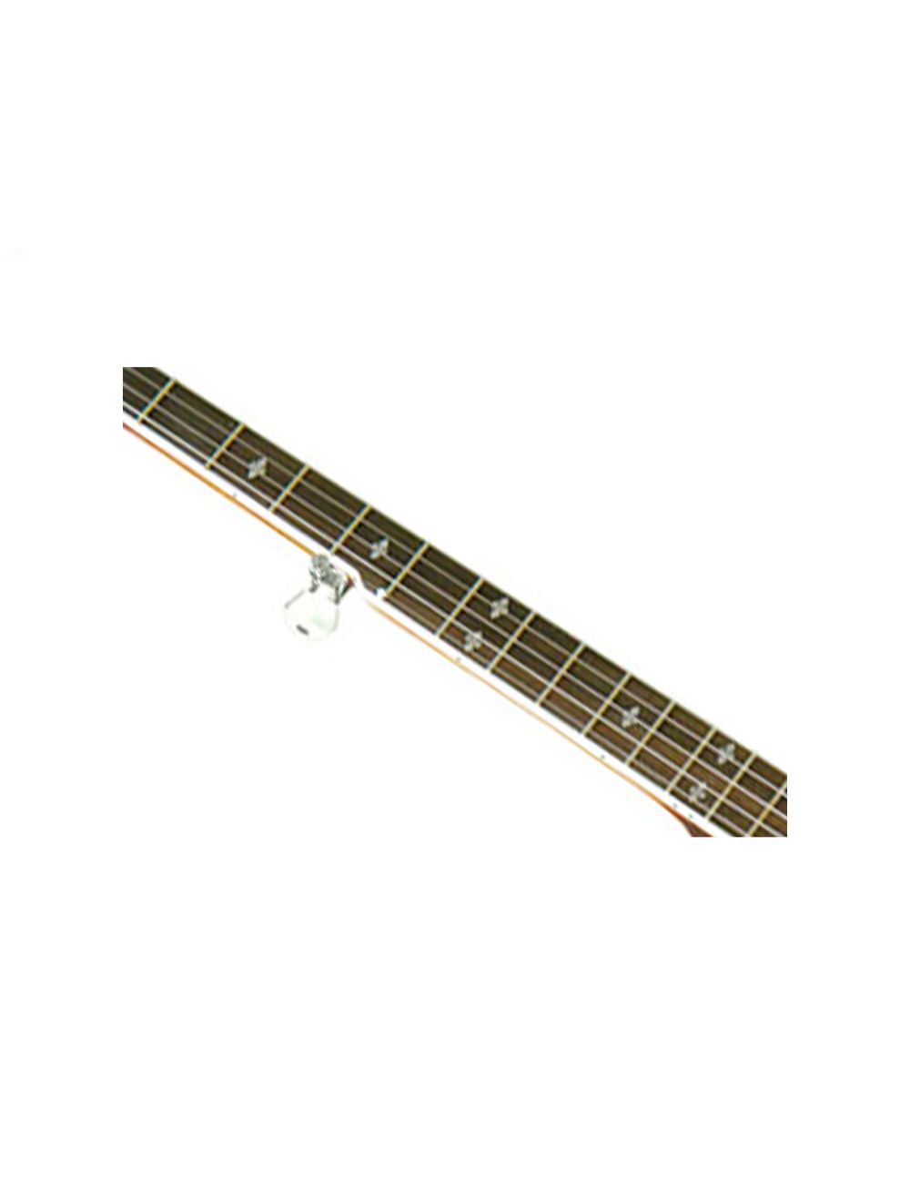 Gold Tone Acoustic Body Resophonic 5-String Banjo (With Electronics) - Open Box