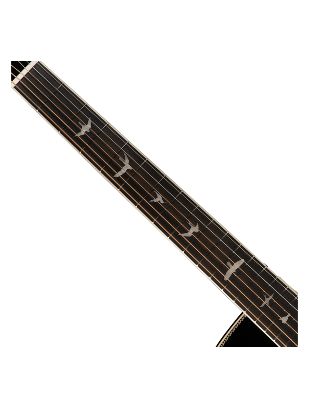 PRS SE A20 Angelus w/Fishman Sonitone Pickup - Black Top/Satin Back