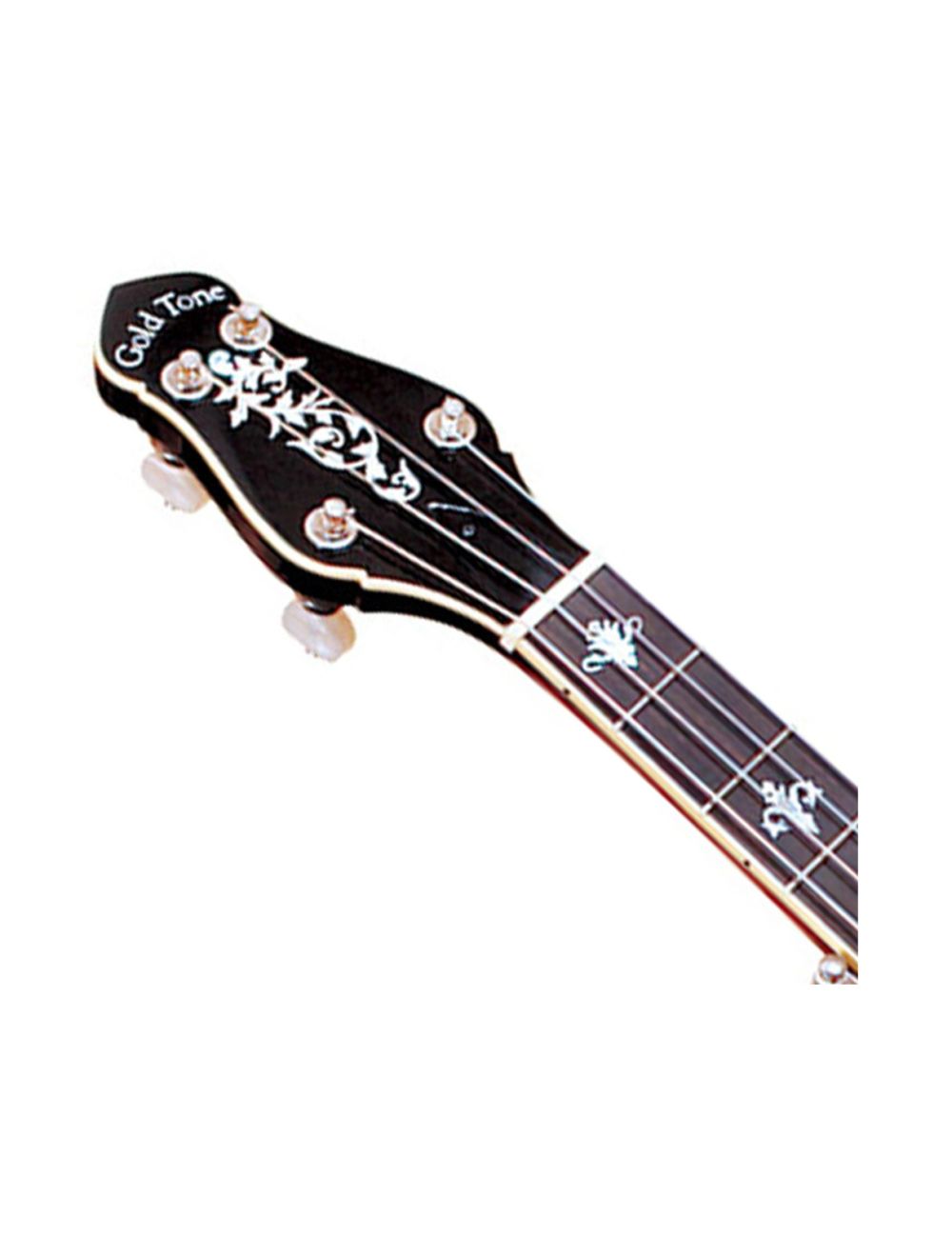 Gold Tone CEB-5 5-String Cello Banjo - Open Box