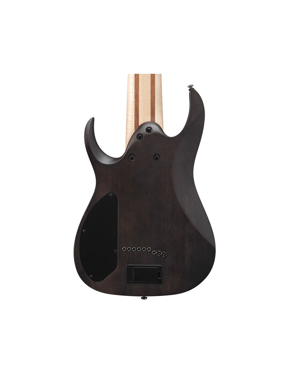 Used Ibanez RG9PBTGF RG Axe Design Lab 9-Str Guitar - Transparent Gray Burst