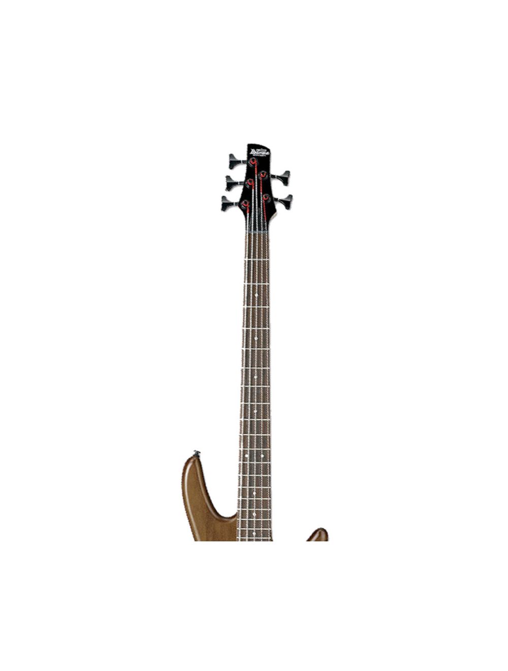 Ibanez GSR205BWNF GSR 5-String Electric Bass Guitar - Walnut Flat