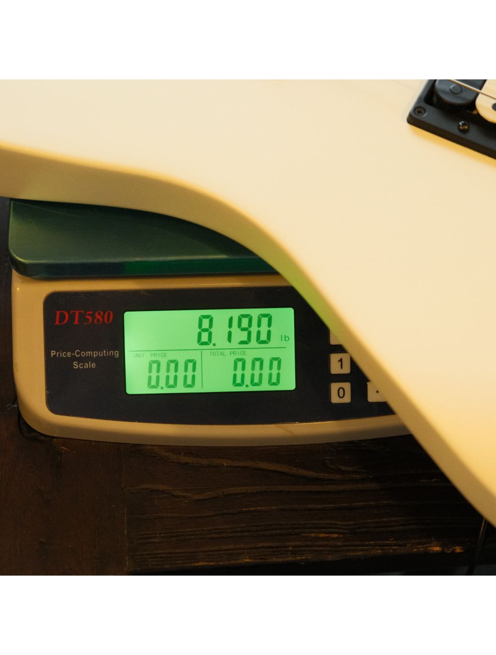 Used Fender Jim Root Signature Jazzmaster - Polar White w/OHSC