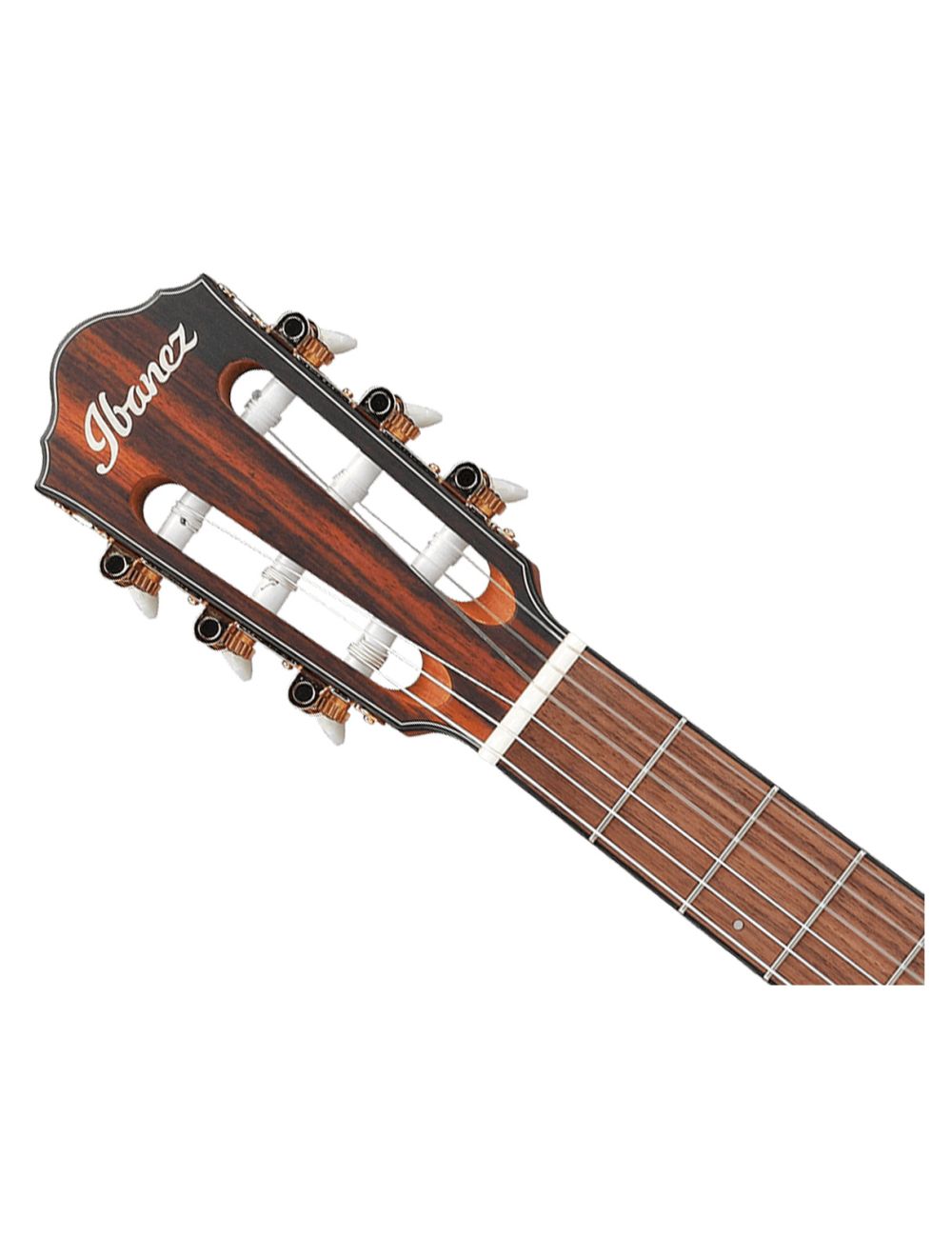 Ibanez FRH10NNTF Thinline Nylon A/E Guitar - Natural Flat