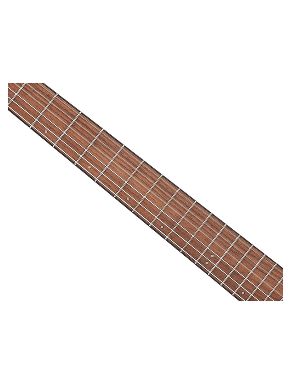 Ibanez FRH10NNTF Thinline Nylon A/E Guitar - Natural Flat