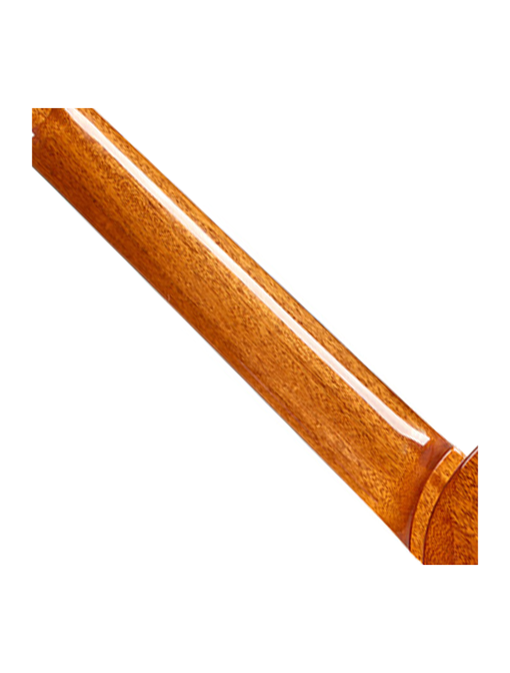 Cordoba Stage Artist Nylon-String Electric Guitar - Traditional