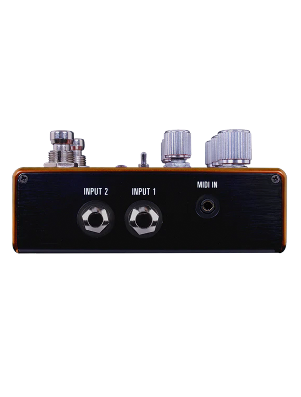 Source Audio Pathways Reverb & Tremolo Pedal