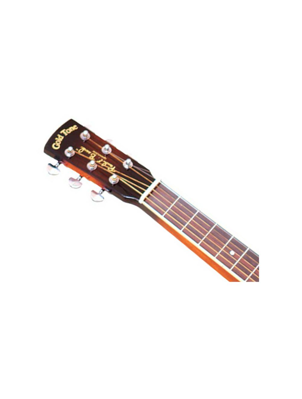 Gold Tone PBS Paul Beard Signature Series Resophonic Squareneck Guitar - Open Box